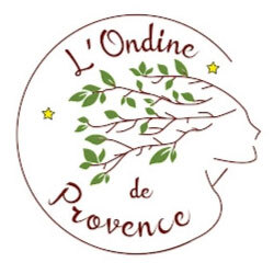 SAS Camping L Ondine Logo